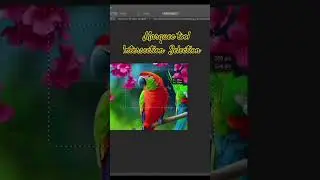 How to Intersect from selection|#Marquee |#photoshop|#shorts