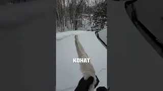 THE BEST CAR BRUSH @akila_sell