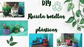 DIY, 4 maneras de reciclar botellas plásticas/Macetas creativas