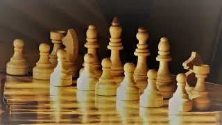 Шахматы - это не просто игра!