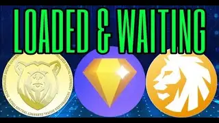 Just Waiting $HODL $MM $TT $ got the Dip $ Pump is comin $ Bullish AF $STARL - YADO said