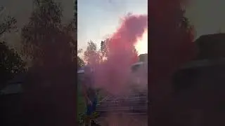Гендер-пати #лайфстайл #любовь #семья #детииродители