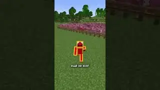 главный секрет ковра в minecraft