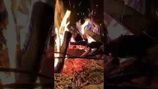 Как горит осина