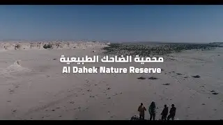 Al Dahek Reserve - The White Desert