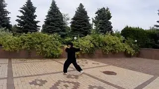 Тайцзицюань в исполнении Лин Бао.