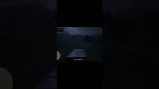 Red Dead Online Cliff Incident