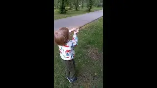Они совсем не боятся детей! БЕЛКА, КИС-КИС-КИС!