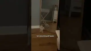 HELP HELP HELP