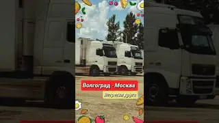 телеграм kambulatof