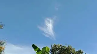 HEY MAN!