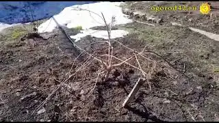 Будни деревенского подворья. Весна пришла в сибирскую деревню