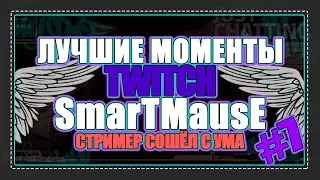 Лучшие моменты TWITCH  ( SmarTMausE ) #7