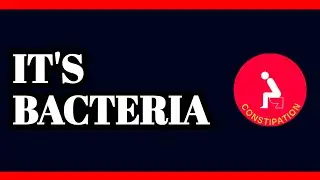 Is Bacteria Causing Your Constipation (New Research)