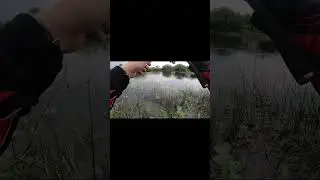 Разловил GAD Gosh 60F хорошей щукой #рыбалка2024 #рыбалка #fishing