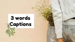 20 Aesthetic Captions for Instagram / Short Captions