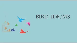 Bird idioms! #esl #english #idioms #learnenglish #grammar #vocabulary #asmrtalking