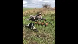 Отличная охота на фазана