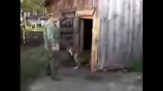 Пёс не любит купаться