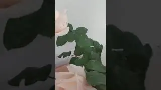 всем счастья