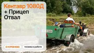 Мотоблок Кентавр 1080Д в работе. Проходимость (kronos5.by/kronos5.ru)