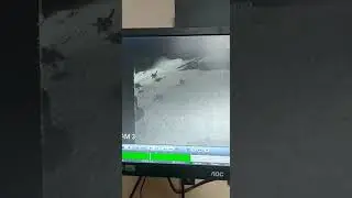 CESARETI SONU OLDU! KURTLARIN YEMEĞI OLAN KANGAL