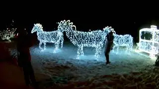 Предновогодний Барнаул 2021