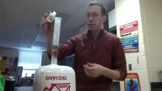 Chemical Reactions and Enzymes