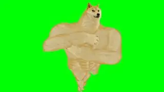 Doge Dancing Green Screen || Doge Green Screen