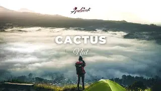 Nect - cactus [ambient cinematic instrumental]