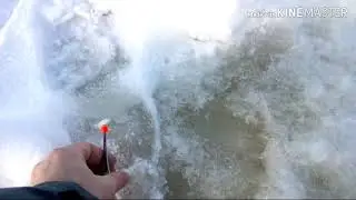 Пробую камеру на глубине.