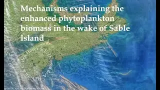 Mechanisms explaining the increase in phytoplankton biomass in the wake of Sable Island