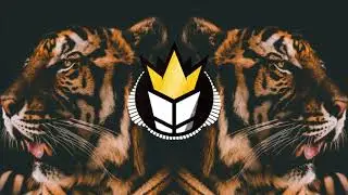 TIGER DROOL - TIGER