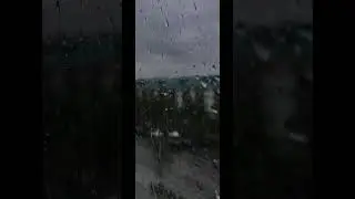 Просто дождь... #дождь
