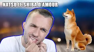 Natsu le Shiba qui adore les câlin - Squeezie 😍💖