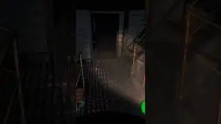 "I Think There's A Spider" (Lethal Company)