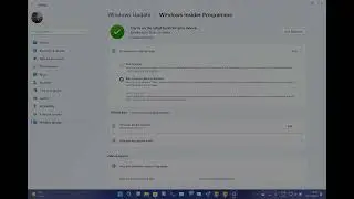 How to change Windows Insider Channels in Windows 11