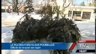 Collecte des sapins - 5 janvier 2013 - TVA 18h