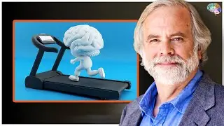 Can Exercise Improve Brain Health?