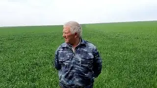 Отзыв Валяева Павла Геннадьевича