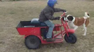 ToteGote Fun.wmv