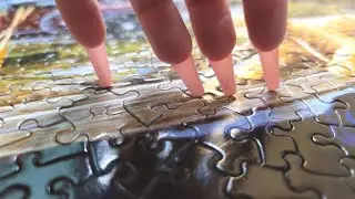 ASMR Fast Puzzle Scratching | No Talking | Long Nails