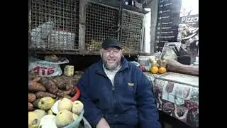 Нутрия  Вот и Новый год!