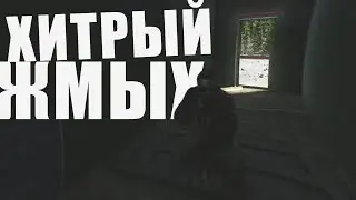 Засада от засранцев (Escape From Tarkov )