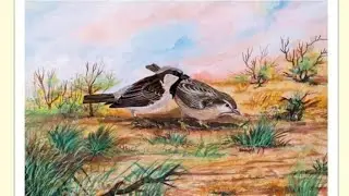 #world Sparrow day #bird of Sindh #publick #realstic painting #Abbas Khaskheli.