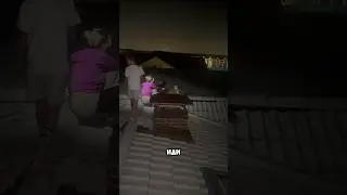 Моя дикарка вышла в окно😫😱 вот такая я мать… не досмотрела. Не спрашивайте почему я с телефоном🙄