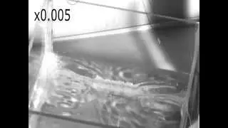Robotic insect jumping on water