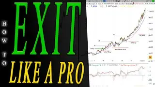 Learn How to Sell for Long Term Trends Like a Pro