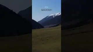 Это не США, это не Швейцария....