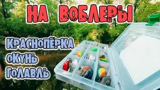 Топ воблер для микро речек. Strike Pro Midge 40SP